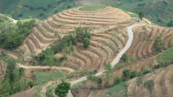 紅河州元陽縣南沙鎮(zhèn)石頭寨村土地整治（補充耕地）項目