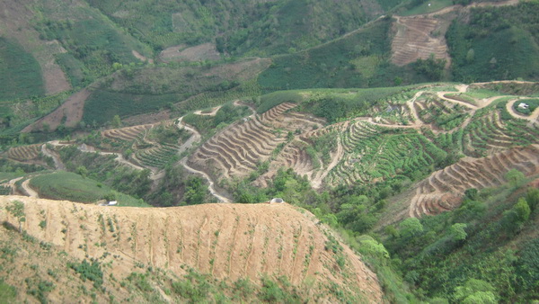 紅河州元陽縣南沙鎮(zhèn)石頭寨村土地整治（補充耕地）項目