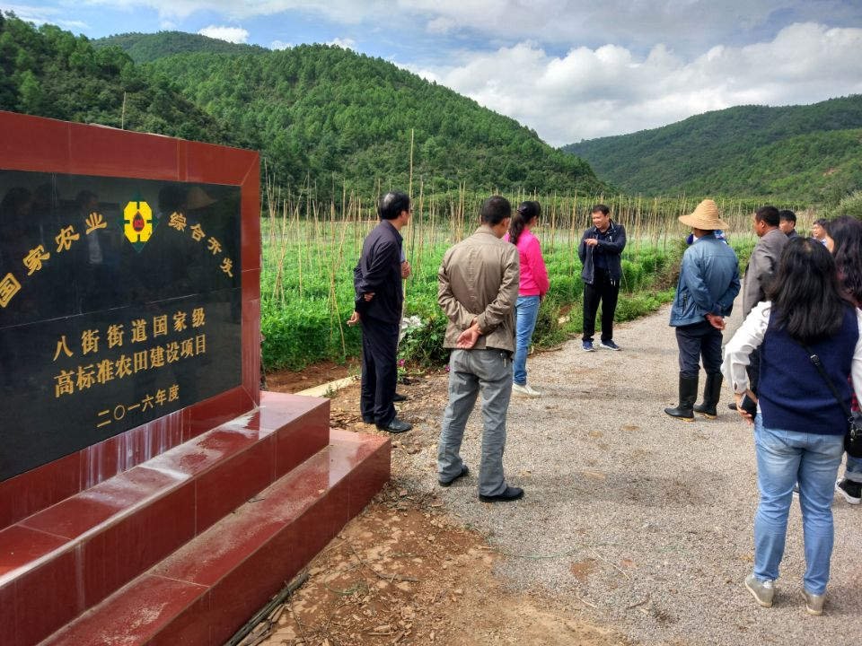 2016年國家農(nóng)業(yè)綜合開發(fā)土地治理安寧市八街街道辦事處、金方街道辦事處高標準農(nóng)田建設項目工程項目竣工驗收